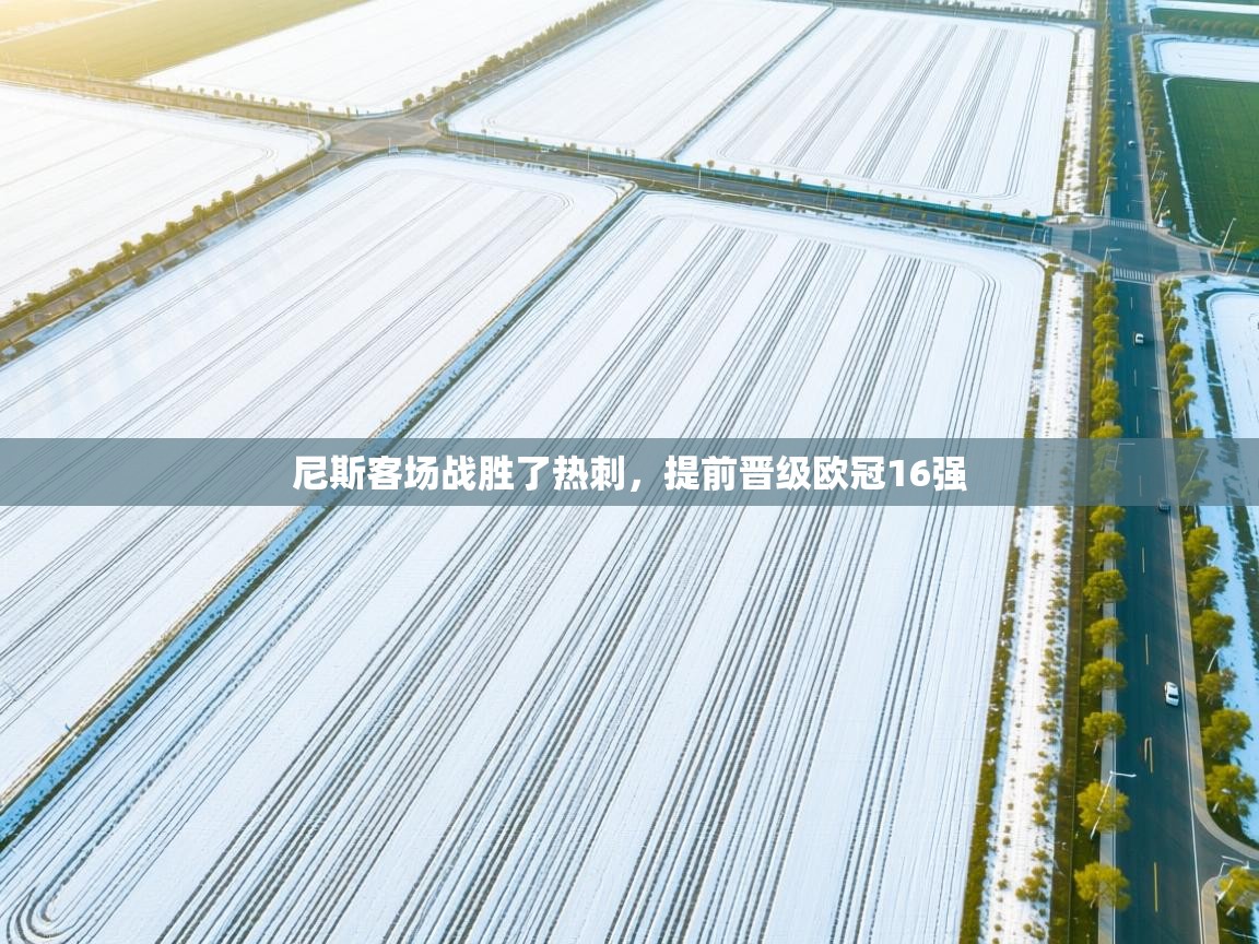 尼斯客场战胜了热刺，提前晋级欧冠16强