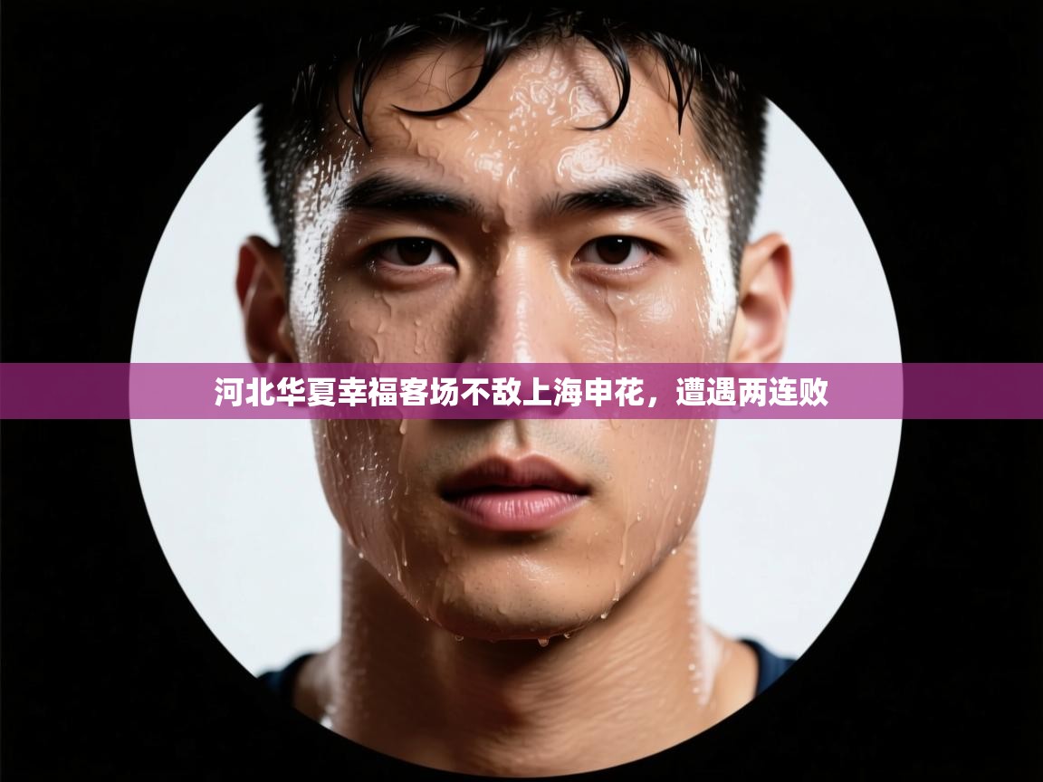 河北华夏幸福客场不敌上海申花，遭遇两连败  第1张