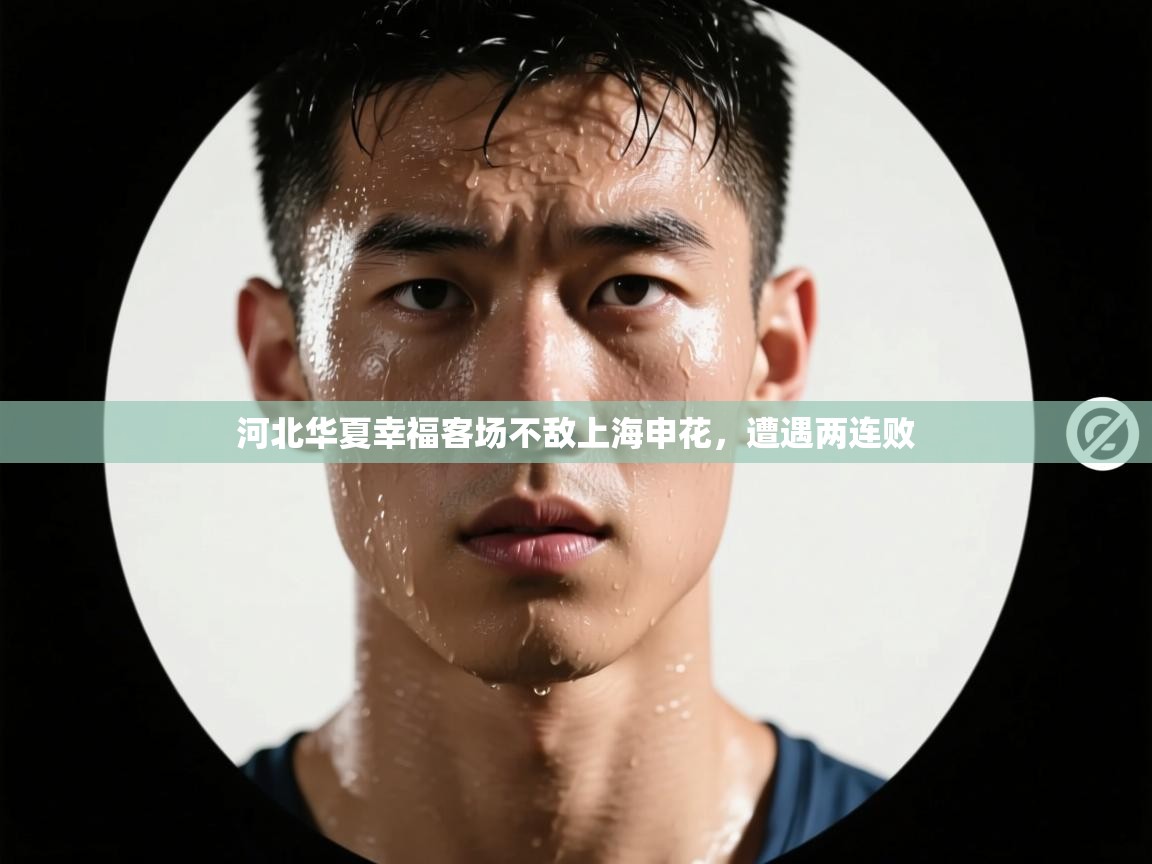 河北华夏幸福客场不敌上海申花，遭遇两连败  第2张