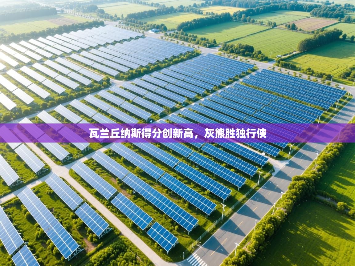 瓦兰丘纳斯得分创新高，灰熊胜独行侠