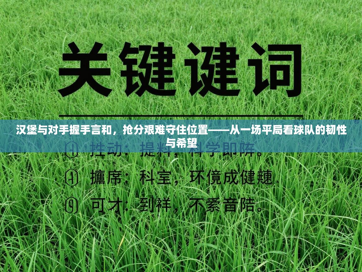 汉堡与对手握手言和，抢分艰难守住位置——从一场平局看球队的韧性与希望